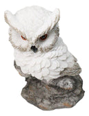 Whimsical White Snow Night Owl Perching On Tree Branch Figurine Decor