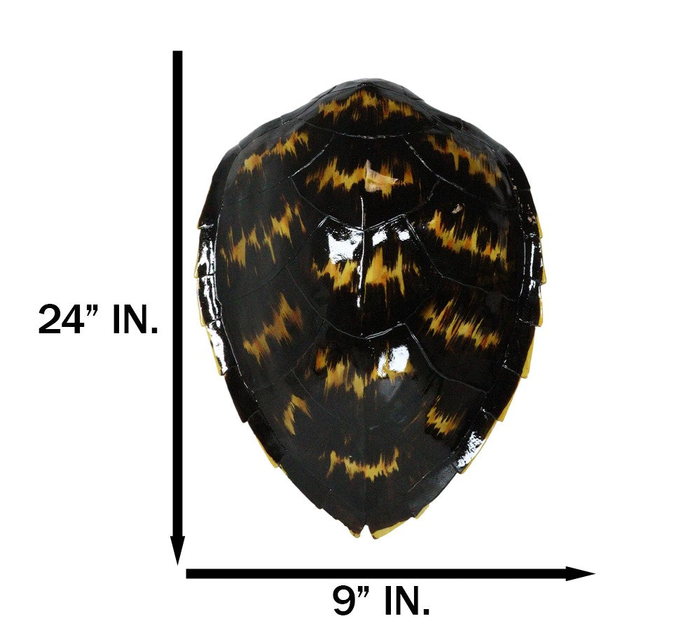 Large Nautical Marine Black Tone Faux Hawksbill Turtle Shell Replica Wall Decor - Ebros Gift