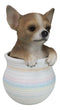 Pet Taco Chihuahua Teacup Puppy Dog Figurine With Glass Eyes Pup In Pot