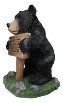 Large Whimsical Black Bear Figurine With “Do Not Feed the Bears” Sign 20"Tall