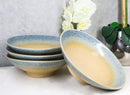 Pack Of 4 Blue River Ao Nagashi Collection Large Ramen Soup Dinner Bowl 36oz