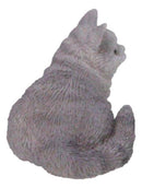 Realistic Feline British Shorthair Grey Kitty Cat Kitten Resting Mini Figurine