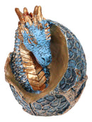 Metallic Bronze and Blue Azure Dragon Hatchling in Dragon Scales Egg Figurine