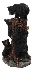 Cabin Companion Tree Climber Black Bear Figurine Cub Bears Forest Tree Wildlife