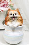Pet Pomeranian Pom Pom Teacup Puppy Dog Figurine With Glass Eyes Pup In Pot