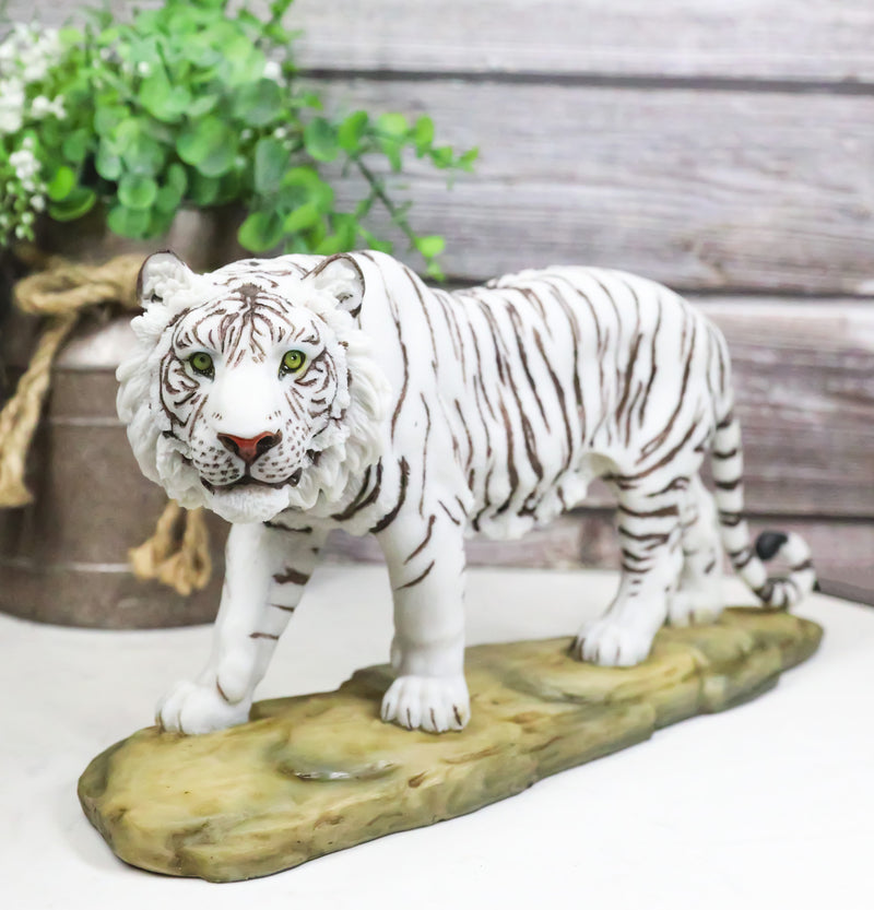 Prowling Fierce Leucistic Winter White Bengal Tiger Figurine 11.25" L