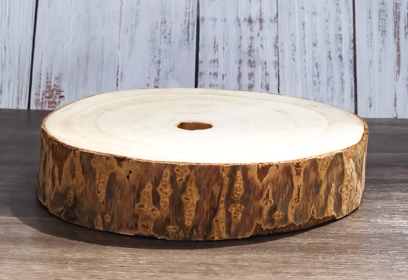 Pack Of 6 Unfinished Natural Wood Slices With Bark 6.25"D DIY Arts And Crafts