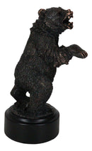 Western Black Bear On Rear Legs Roaring Bronze Electroplated Resin Decor Statue