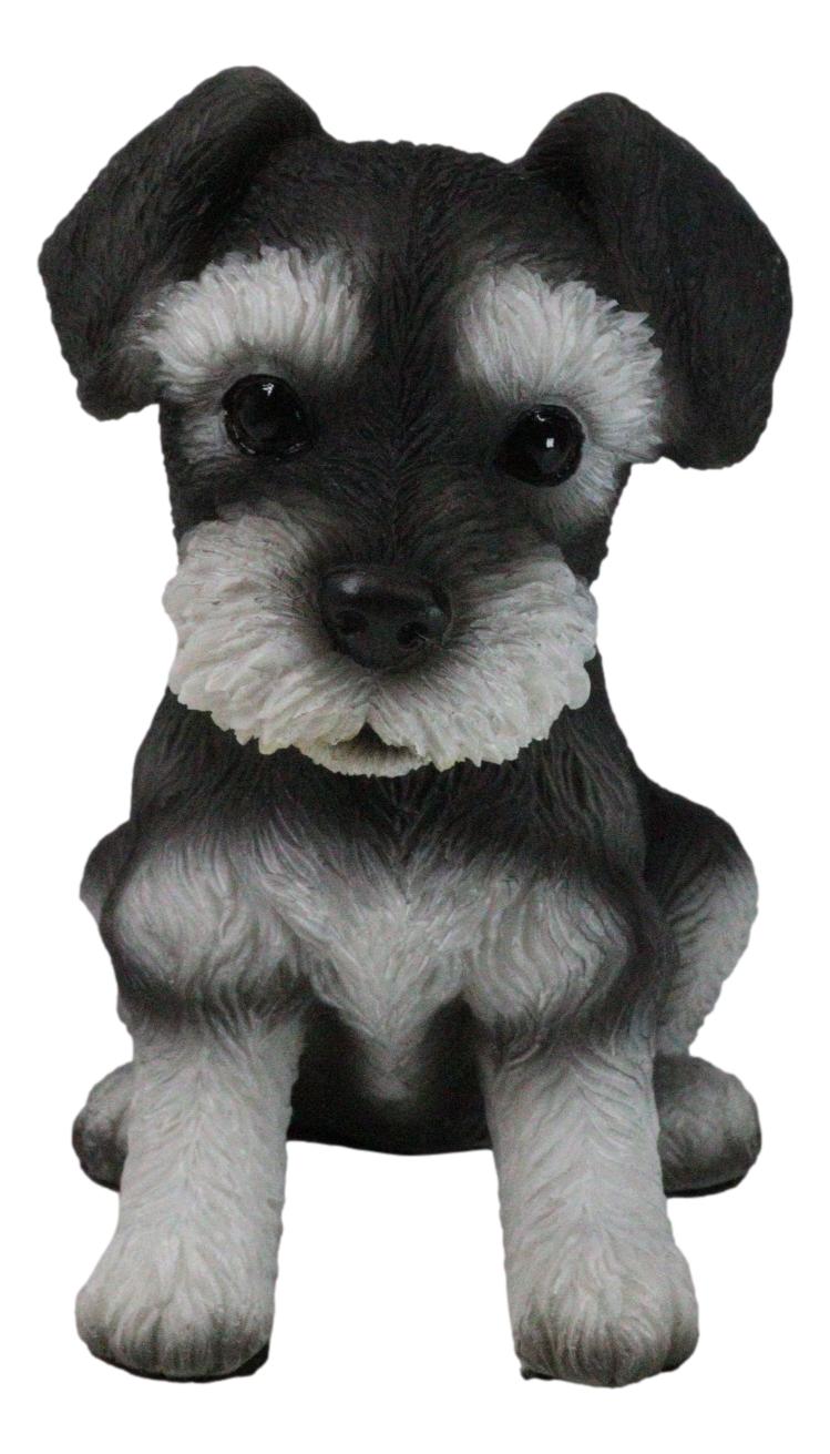Adorable Black and Silver Miniature Schnauzer Puppy Dog Home Decor Figurine - Ebros Gift