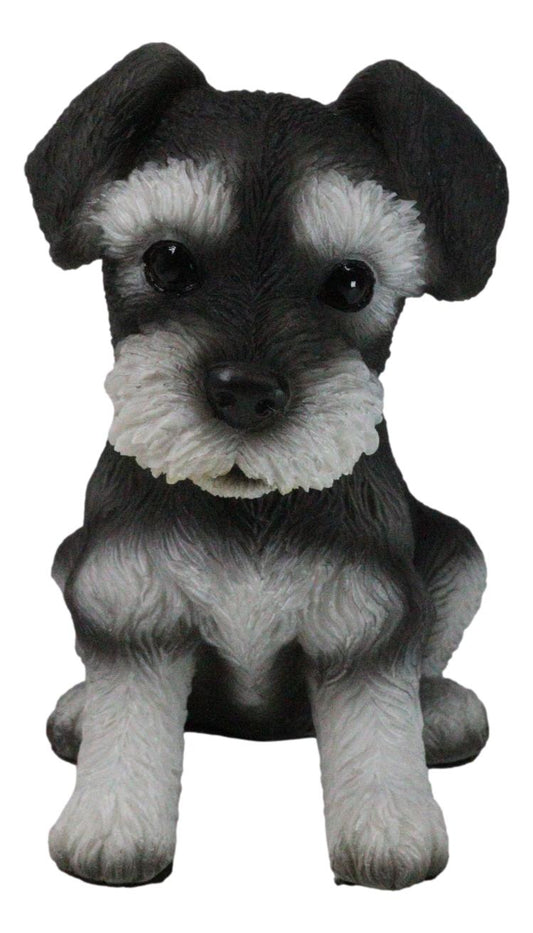 Adorable Black and Silver Miniature Schnauzer Puppy Dog Home Decor Figurine - Ebros Gift