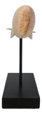 Nautical Marine Contemporary Sperm Whale Fish Faux Wood Sculpture On Pole Stand