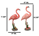 Tropical Paradise Bird Pink Flamingo Pair with Heart Shaped Neck Figurine Set