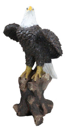 Large 21"H American Pride Bald Eagle Perching On Tree Stump Statue Patriotic Art