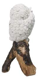 Woodland Wisdom See Hear Speak No Evil Wise Snowy Owls Figurine On Tree Branch