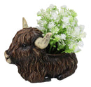 Rustic Western Scottish Highlands Cattle Cow Wine Holder Container Pot Holder 9"