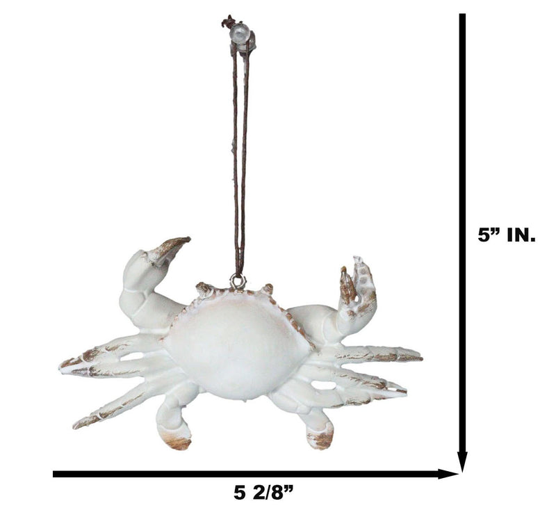 Set Of 6 Antique White Beach Crabs Ocean Marine Wall Hanger Decor Tree Ornaments
