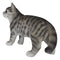 Standing Feline Gray Tabby Cat Kitten Figurine With Realistic Glass Eyes Decor