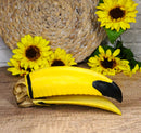 Realistic Faux Toco Toucan Skull with Yellow and Black Beak Sculpture 9" L