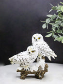Mystical Tundra Forest Snow White Owls Couple On Tree Branch Figurine 6"H