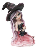 Gothic Beautiful Witch In Pink Dress And Magical Hat Holding Black Cat Figurine