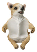 Cute Chihuahua Dog Salt and Pepper Glass Shakers Holder Kitchen Figurine