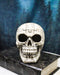 Ossuary Macabre Gothic Jointed Jigsaw Puzzle Cranium Skull Figurine 6"L