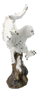 Winter Snowy Owl with Outsretched Wings on Snow-Covered Tree Stump Statue 14"H