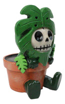 Furry Bones MonstyD Monstera Succulent Plant in Pot Skeleton Figurine Furrybones