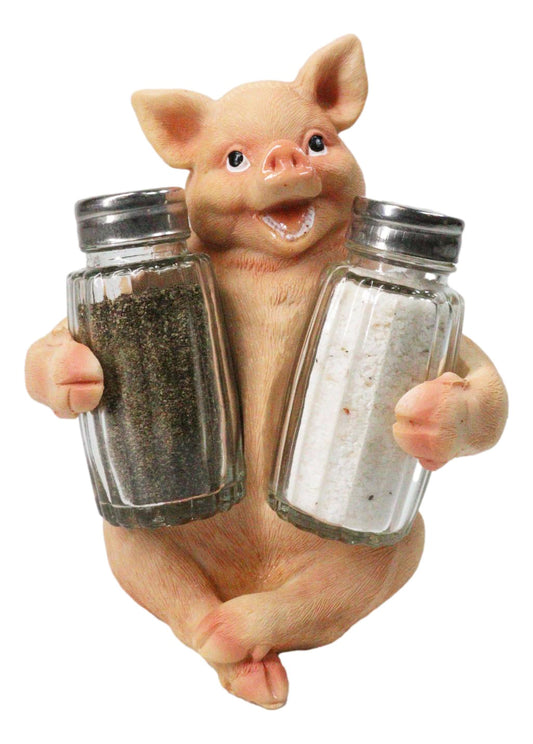 Cute Pig Salt and Pepper Shaker Holder Set with Glass Shakers, Smiling Porky Pig