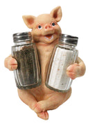 Cute Pig Salt and Pepper Shaker Holder Set with Glass Shakers, Smiling Porky Pig