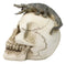 Ossuary Macabre Gothic Jointed Skull with Perching Crocodile Gator Figurine