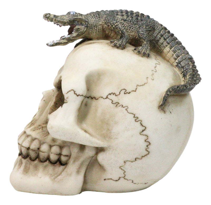 Ossuary Macabre Gothic Jointed Skull with Perching Crocodile Gator Figurine