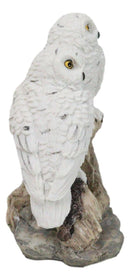 Tundra Forest Snow White Owls Couple Perching On Tree Branch Figurine 4.75"H