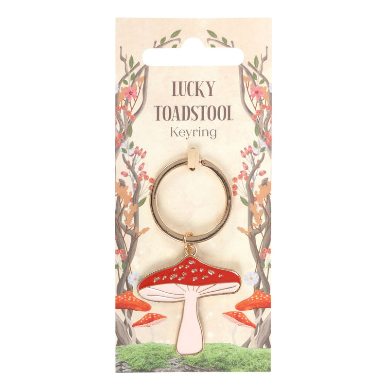 Set of 2 Lucky Toadstool Mushroom Metal Fortune Talisman Keyrings Keychains