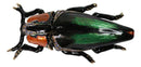 Green Wood Beetle Bug Enameled Pewter Austrian Crystals Trinket Jewelry Box