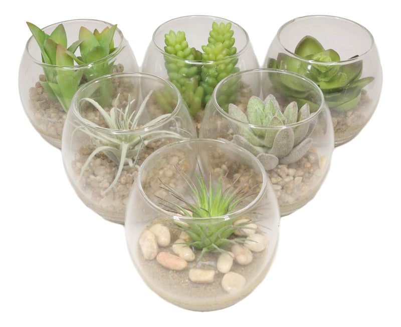 realistic artificial succulent plants Set Of 6 Realistic Artificial Botanica Succulents Plants In Round Glas– Ebros Gift