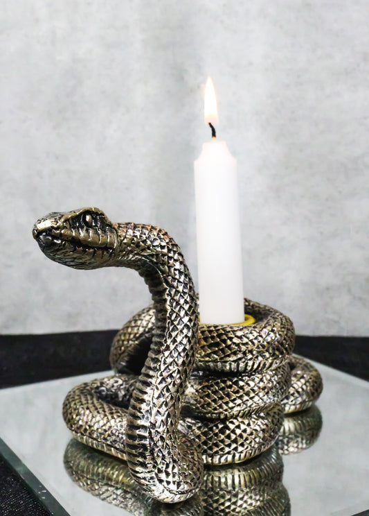 Witchcraft Sorcery Dark Magic Coiled Serpent Snake Taper Candleholder Figurine