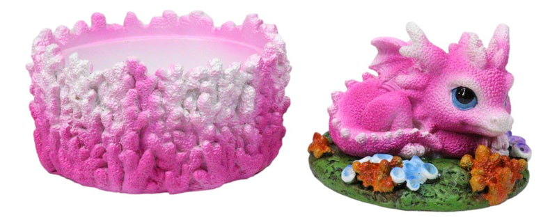 Cute Hot Pink Hatchling Dragon Sleeping On Coral Reef Decorative Trinket Box