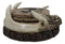 Rustic Western Forest Deer Antlers With Tree Rings Coasters And Holder Set