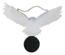 Snowy White Owl Pentagram Medallion Gothic Owl Wall Hanging Plaque 10"Long