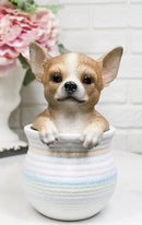 Pet Taco Chihuahua Teacup Puppy Dog Figurine With Glass Eyes Pup In Pot