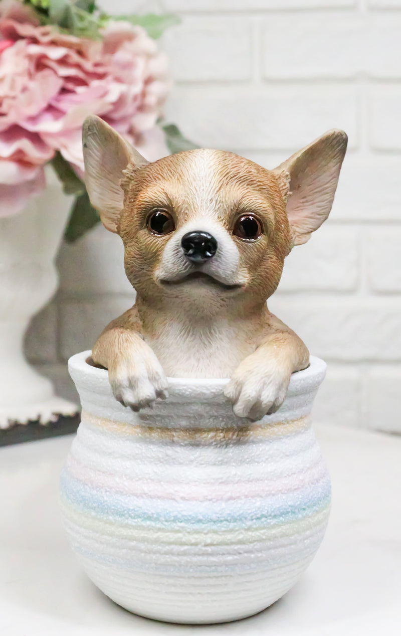 Pet Taco Chihuahua Teacup Puppy Dog Figurine With Glass Eyes Pup In Pot