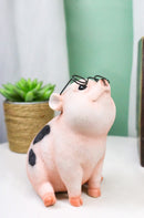 Adorable Realistic Animal Farm Napoleon Fat Piglet Pig Wearing Glasses Figurine