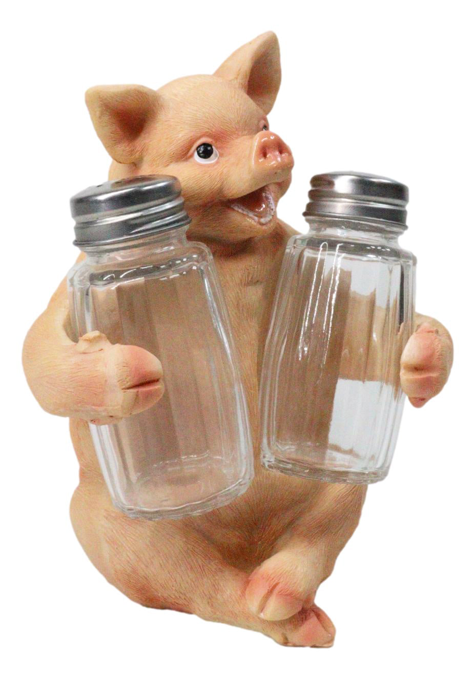 Cute Pig Salt and Pepper Shaker Holder Set with Glass Shakers, Smiling Porky Pig