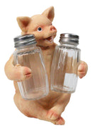 Cute Pig Salt and Pepper Shaker Holder Set with Glass Shakers, Smiling Porky Pig