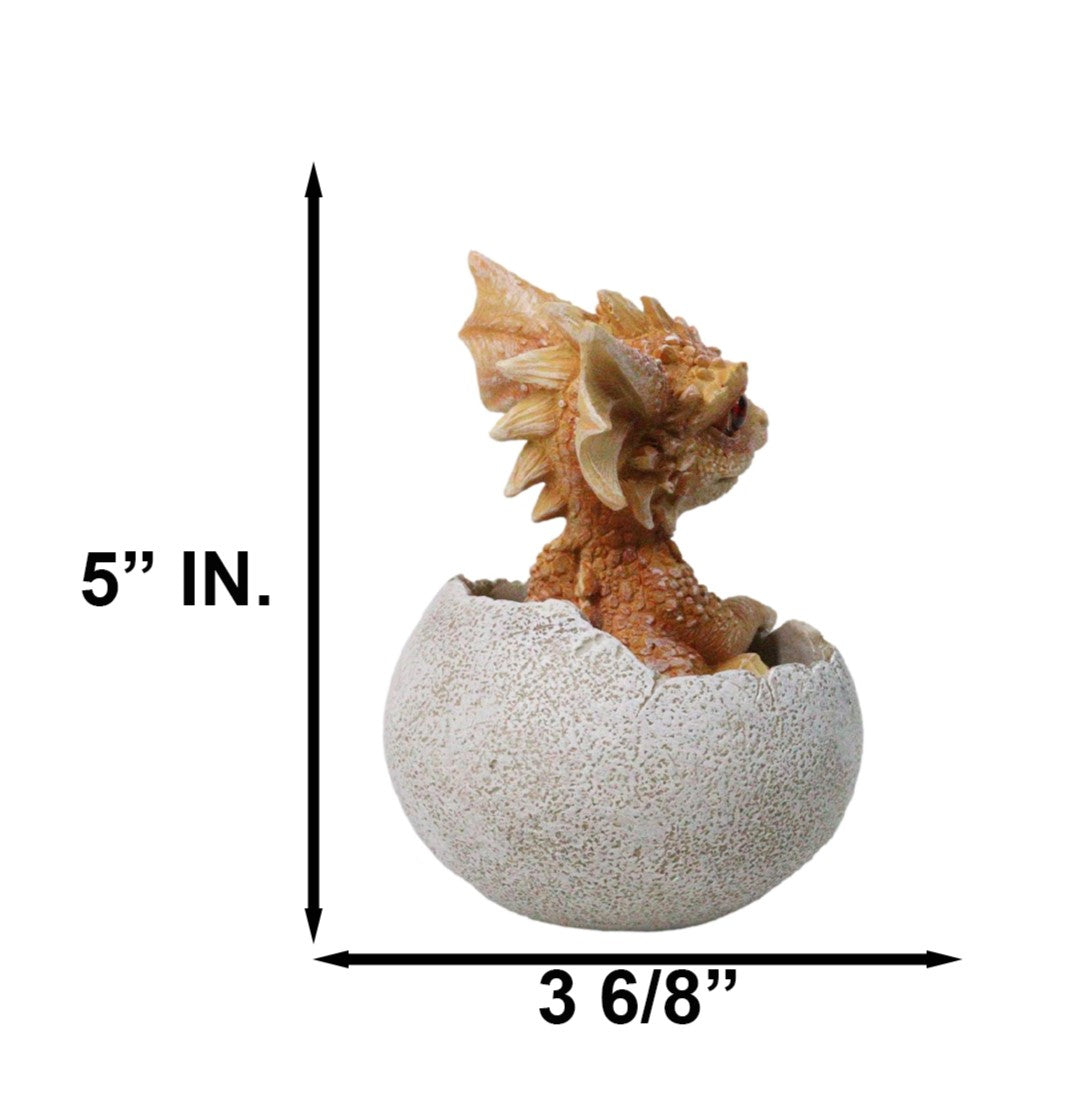 Ebros Orange Clay Colored Dragon Hatchling in Egg Fantasy Figurine, 5 Inch