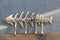 Brass Metal Golden Fishbone Fish Bone Marine Coastal 4 Peg Wall Hooks Plaque