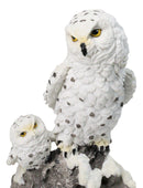 Snowy Owl Mother and Owlet Figurine on Snow-Covered Rock Nature Wildlife Bird