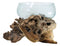 Balinese Natural Driftwood With Large Molten Glass Fruit Succulents Decor Bowl
