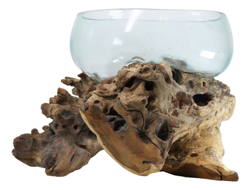 Balinese Natural Driftwood With Large Molten Glass Fruit Succulents Decor Bowl